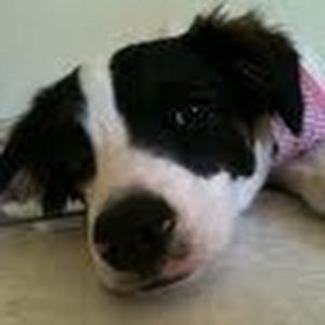 Meet your Posher, Jamie le